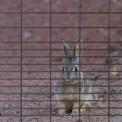 Yardworks 2' X 50' Charcoal Rabbit Guard Fence 7 Yardworks 2' X 50' Charcoal Rabbit Guard Fence -Yardworks shop 17127142