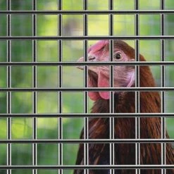 Yardworks 1/2" X 2' X 5' Galvanized Hardware Cloth -Yardworks shop 17131515