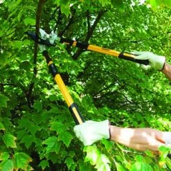 Yardworks® Ratcheting Bypass Lopper With Telescopic Handles -Yardworks shop 2650117 scene2