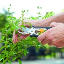 Yardworks Yarkworks® 2-Piece Bypass Pruner & Floral Shears Set -Yardworks shop 2650121 scene1