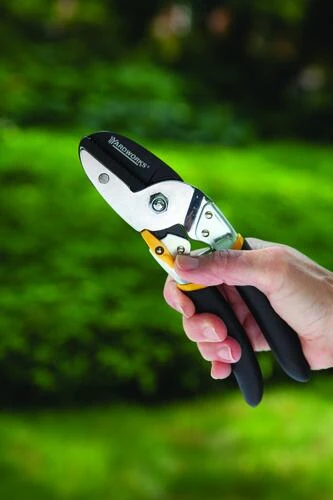 Yardworks® 5/8" Anvil Pruner 5 Yardworks® 5/8" Anvil Pruner - Image 5