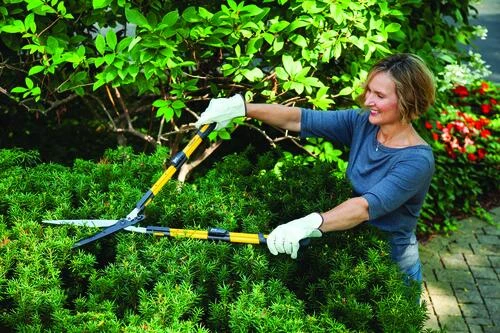 Yardworks® 10" Telescoping Hedge Shears 5 Yardworks® 10" Telescoping Hedge Shears - Image 5