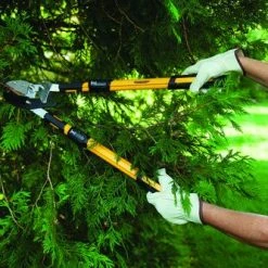 Yardworks® Ratcheting Anvil Lopper With Telescopic Handles -Yardworks shop 2650126 scene2