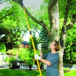 Yardworks® Telescoping Tree Pruner -Yardworks shop 2650127 scene2