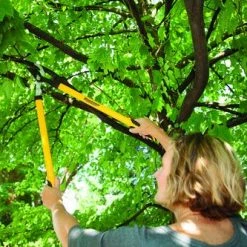 Yardworks® Bypass Lopper -Yardworks shop 2650129 scene1