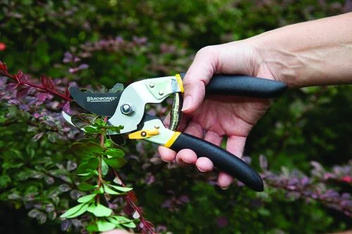 Yardworks® 5/8" Bypass Pruner 3 Yardworks® 5/8" Bypass Pruner - Image 3