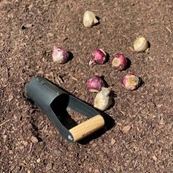 Yardworks® Wood Handle Bulb Planter -Yardworks shop 2653389 BulbPlanter 4 withBulbs