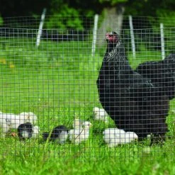 Yardworks 1/4" X 3' X 5' Charcoal Hardware Cloth 8 Yardworks 1/4" X 3' X 5' Charcoal Hardware Cloth -Yardworks shop HardwareClothCharcoalAnimalContainment1000